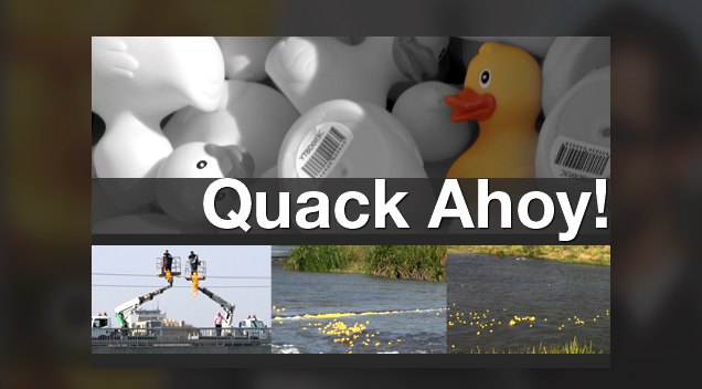 Read more about the article Quack Ahoy!