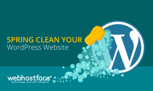 Read more about the article Spring Clean Your WordPress Website